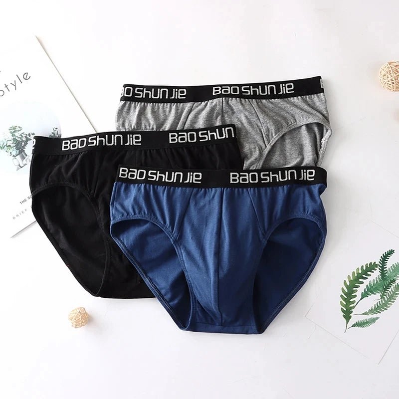 4pcs Men Underwear 100% Cotton Men boxer briefs Medium Waist Breathable Men Panties Fashion Boys Soft Comfortable Men Underpant - La Tienda Bella