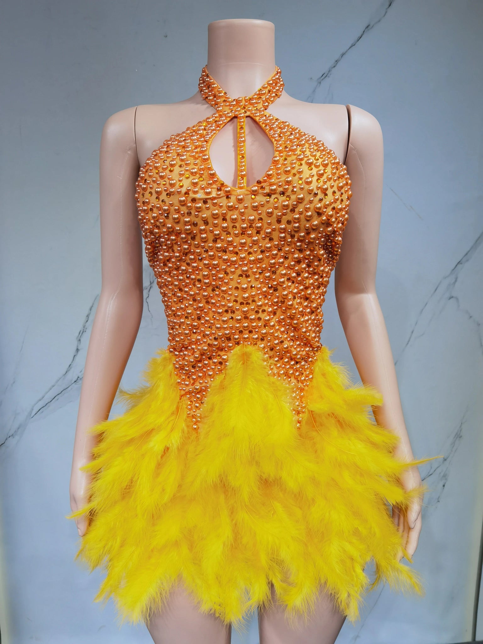Fashion 2025new sexy Latin dance dress with airy hollow design, feather skirt hanging neck skirt - La Tienda Bella