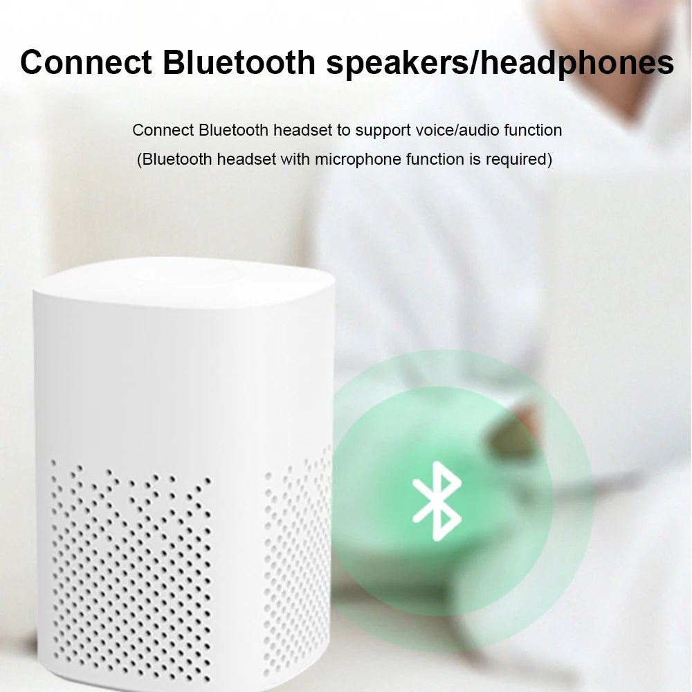 USB Bluetooth - compatible Adapter Transmitter Receiver BT Audio Receiver USB Dongle Wireless USB Adapter for Computer PC Laptop - La Tienda Bella